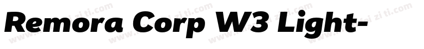 Remora Corp W3 Light字体转换